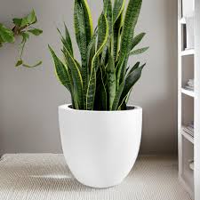 Fibreglass Planter Pots